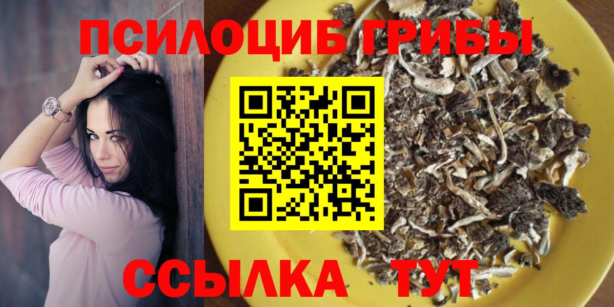 Канаш  Галлюциногенные грибы прущие грибы  Вход с VPN  Псилоцибиновые грибы Cubensis 
